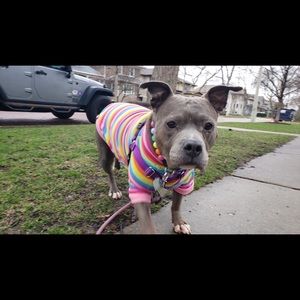 Meet your Posher, Sharon